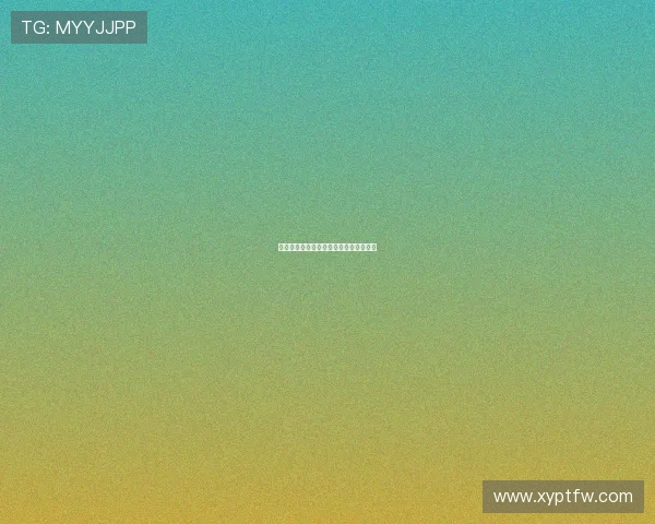 斯图加特：德甲劲旅崛起之路与未来展望